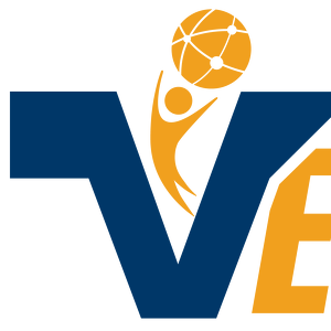 Team Page: Vistex Endeavor
